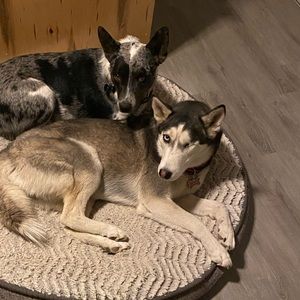 Meet your Posher, Joseph